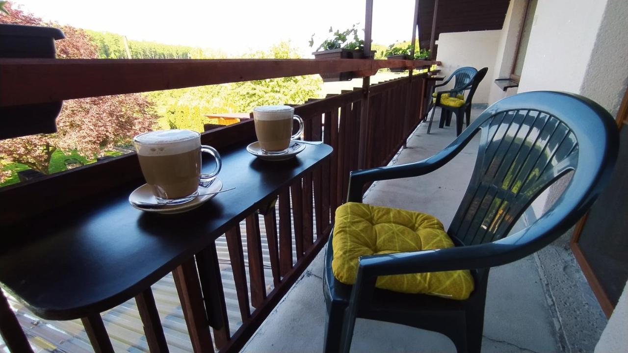 Apartment U Spycharu *